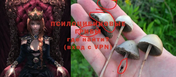 MDMA Premium VHQ Михайловск