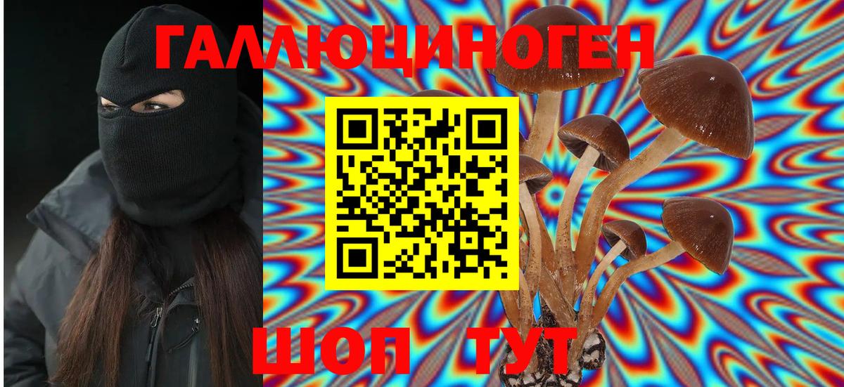 Галлюциногенные грибы Psilocybe Белая Калитва