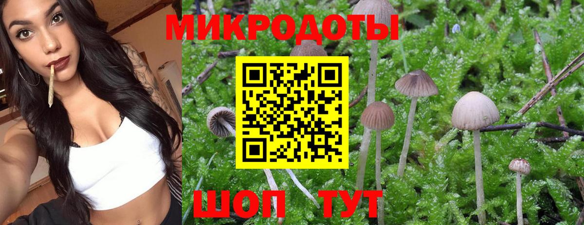 Псилоцибиновые грибы MAGIC MUSHROOMS Белая Калитва