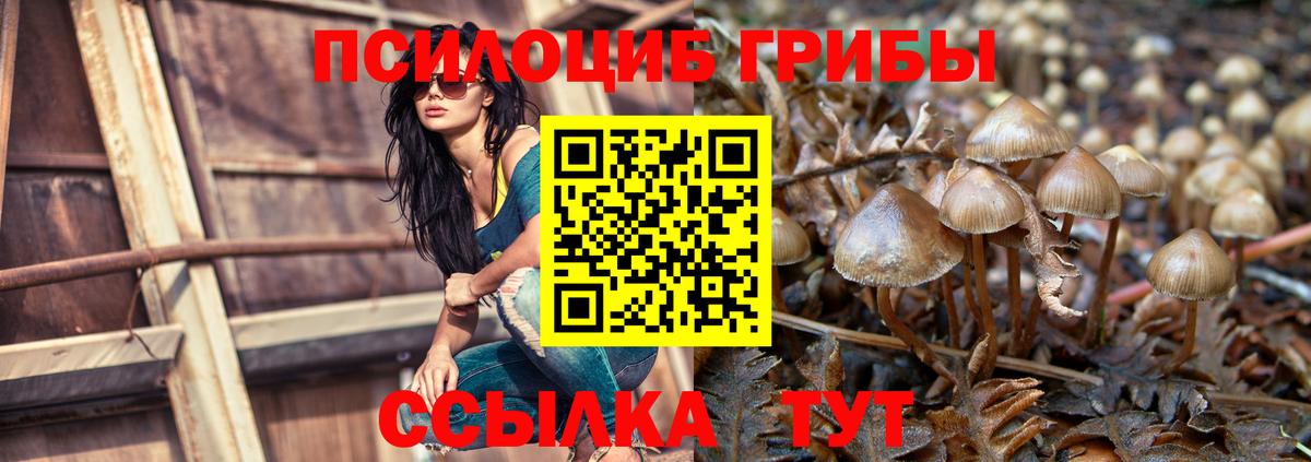 Белая Калитва  Псилоцибиновые грибы GOLDEN TEACHER  магазин продажи наркотиков  Вход с VPN 